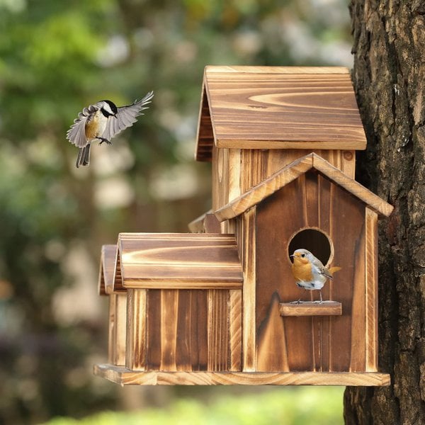 Nichoir SongbirdHaven – Maison pour Oiseaux Conviviale et Élégante