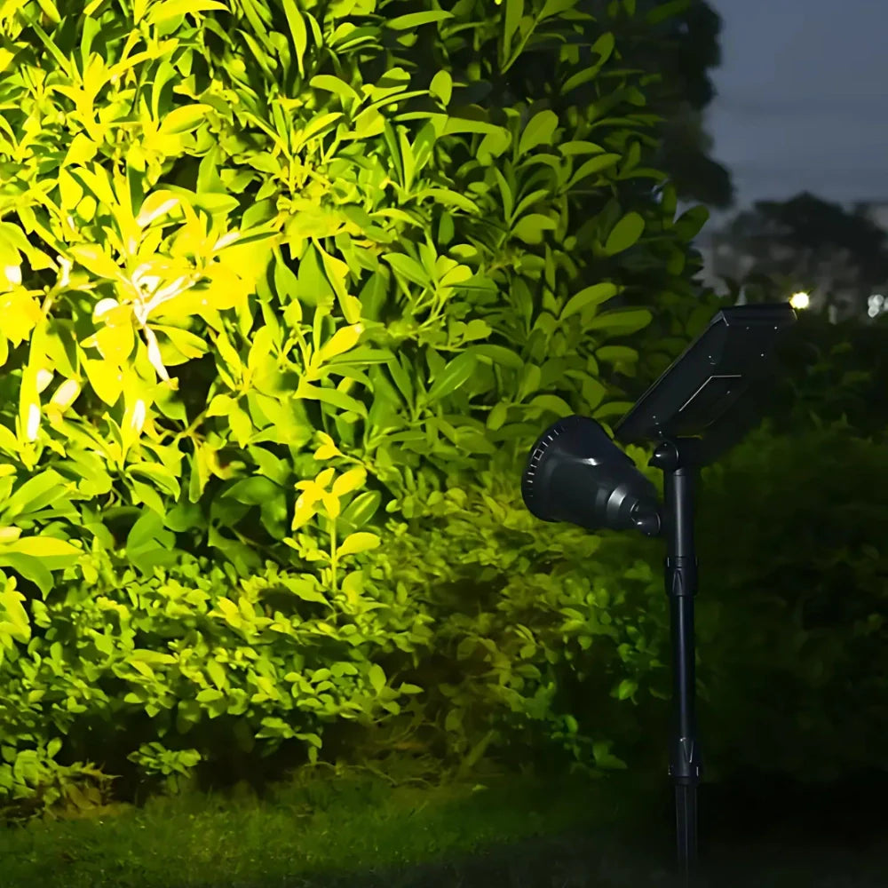 Spot Solaire LED Extérieur – Éclairage Jardin Multicolore