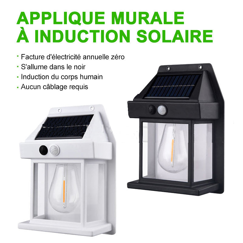 Applique Solaire Extérieure Détecteur Mouvement LED