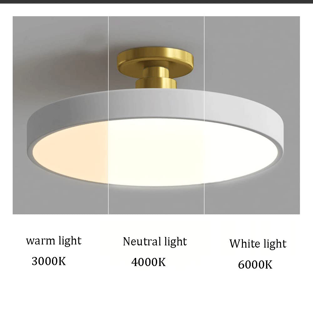 Plafonnier LED Circulaire Moderne | Design Simple et Élégant Semi-Suspendu