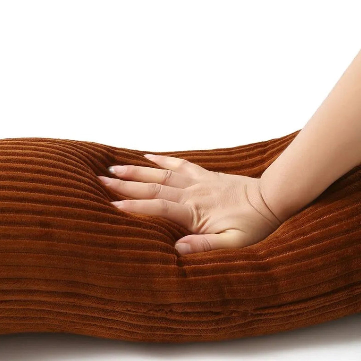 Coussin Lounge Teckel – Originalité et Confort pour Votre Intérieur
