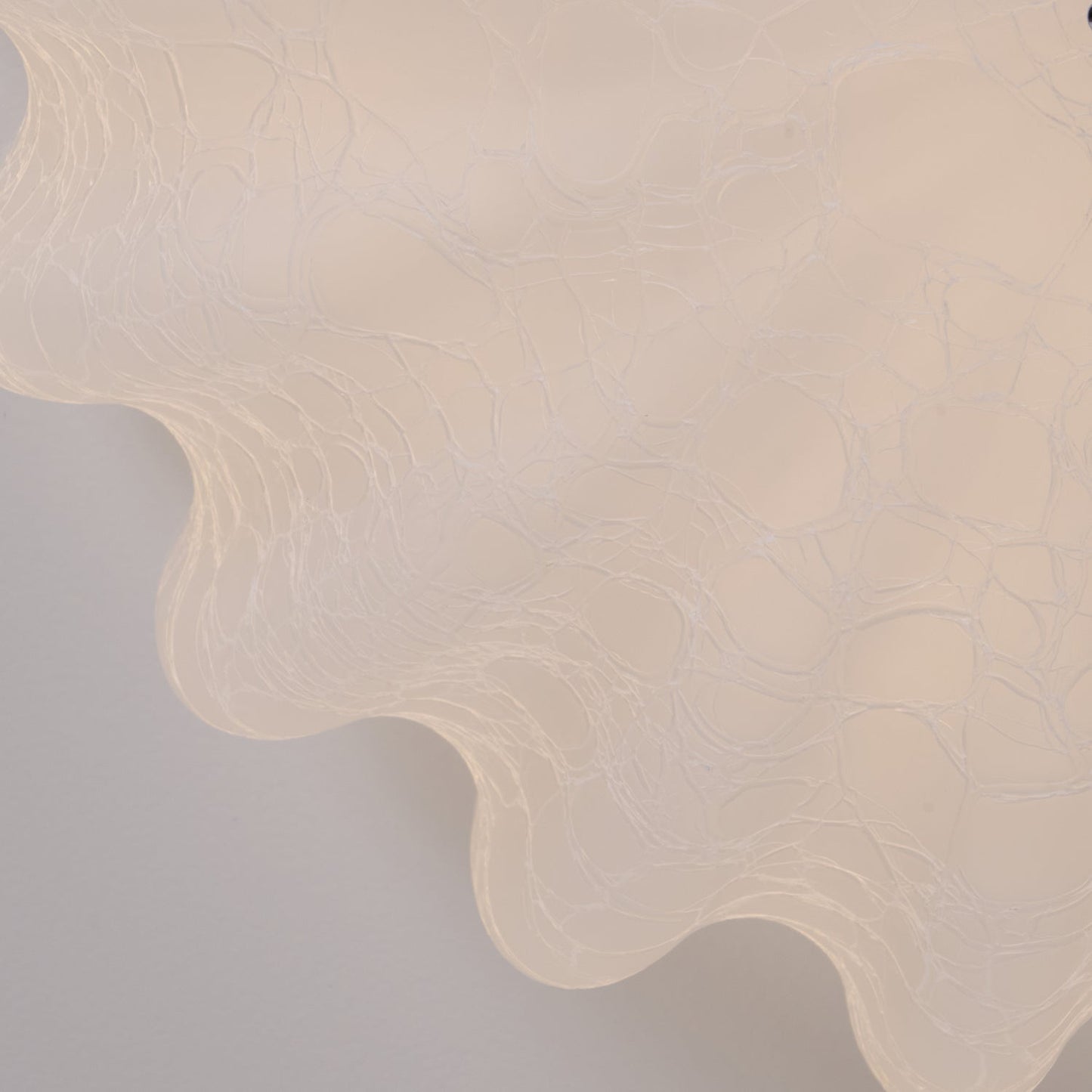 Plafonnier Floral Design – Lumière LED Douce et Élégante