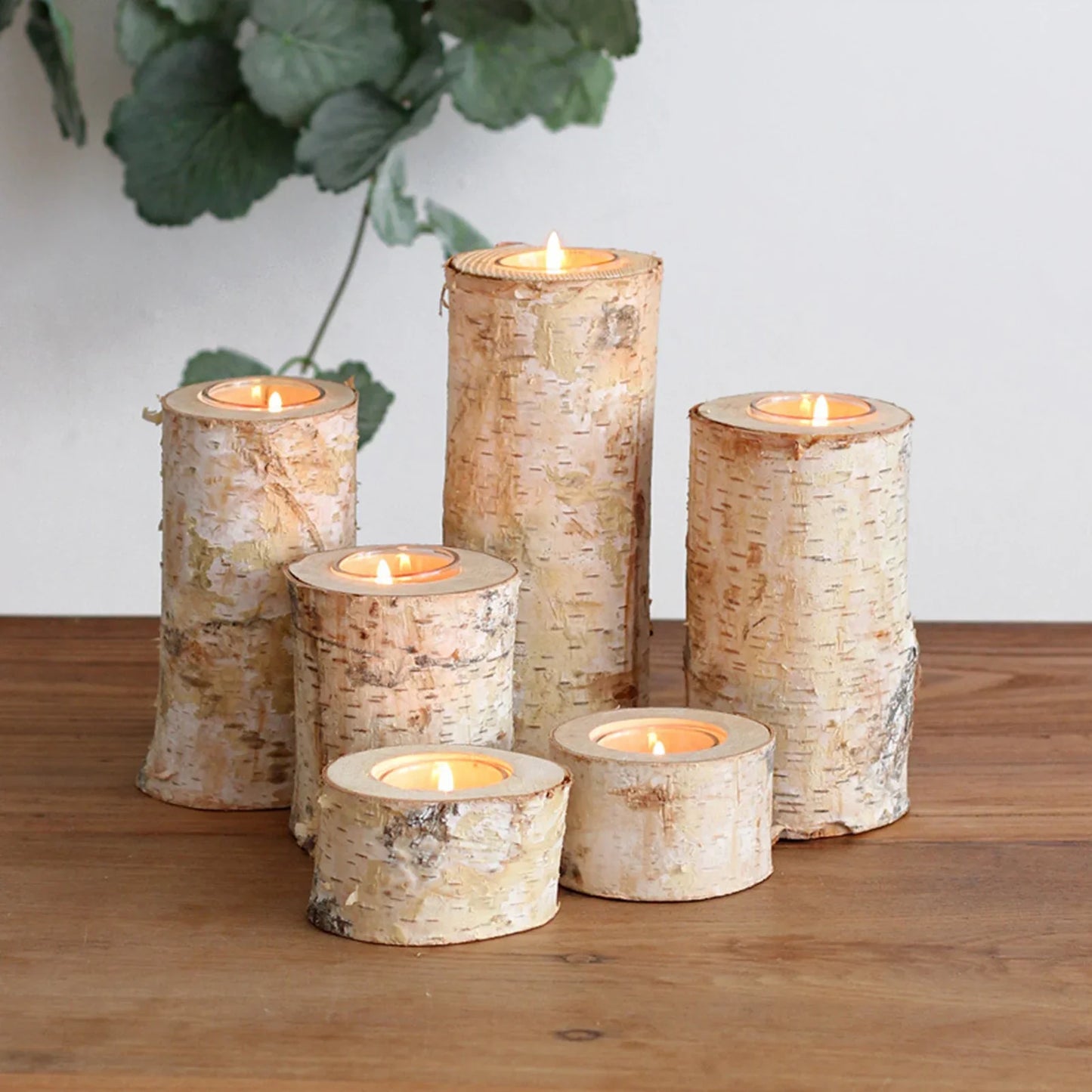 Support de Bougie Nature en Bois de Bouleau – Élégance Rustique et Chaleur Authentique