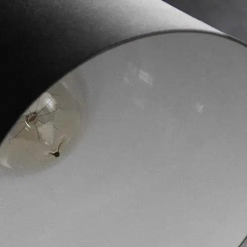 Applique Murale Nordique LED Design en Fer Coloré