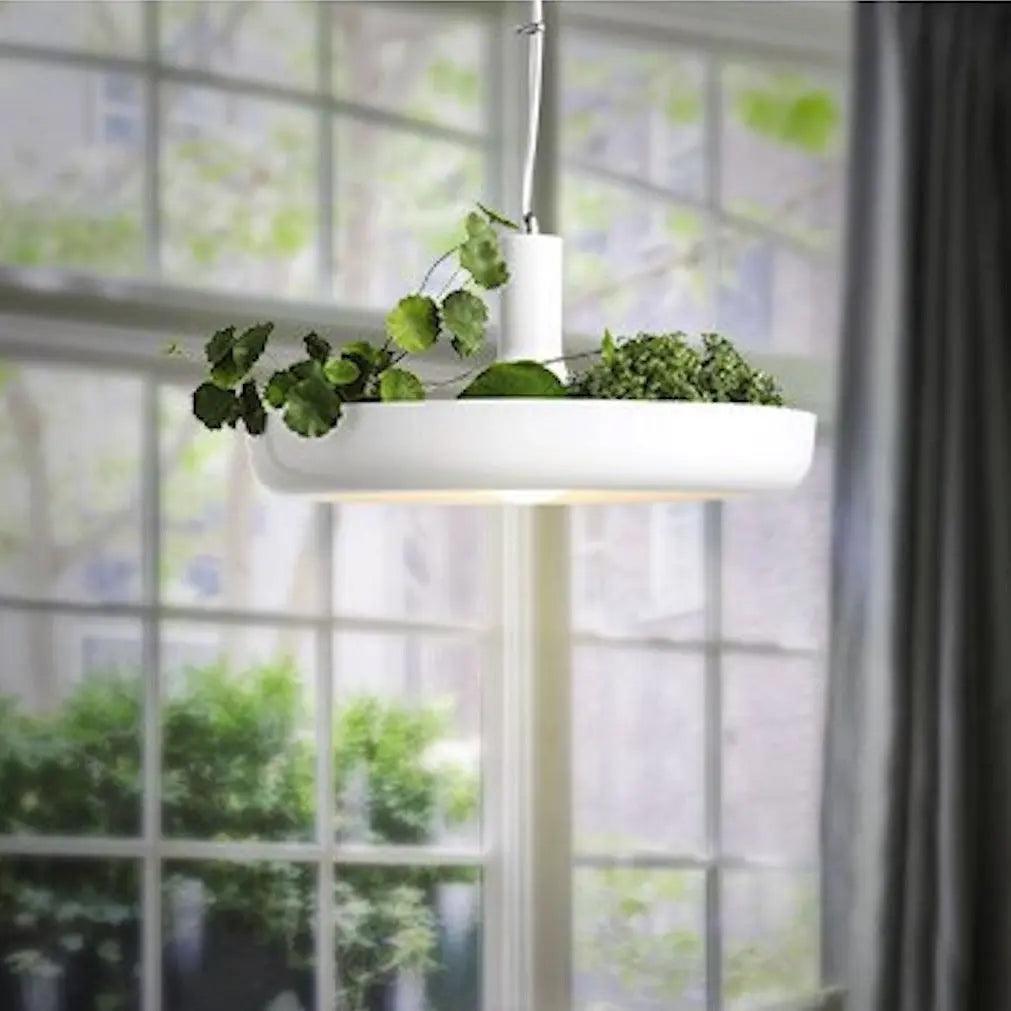 Suspension Plafond Moderne avec Pot Plante Intégré