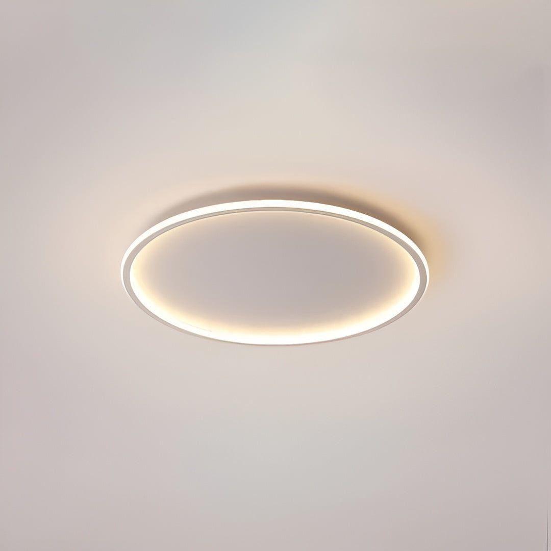 Plafonnier LED Rond Moderne Dimmbable avec Télécommande