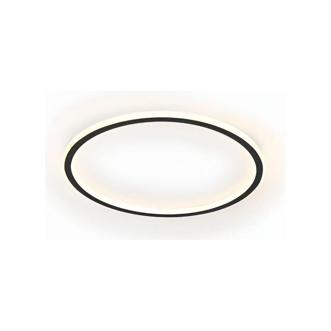 Plafonnier LED Rond Moderne Dimmbable avec Télécommande