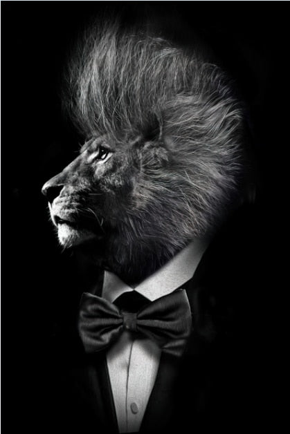 Toile Animalière Chic - Posters Zèbre Lion Éléphant