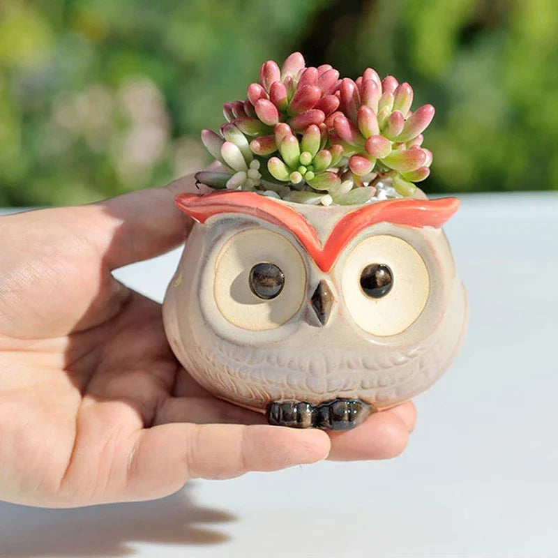 Mini Pot de Fleurs Hibou en Céramique – Jardinière Mignonne pour Plantes Succulentes et Déco de Bureau ou Jardin