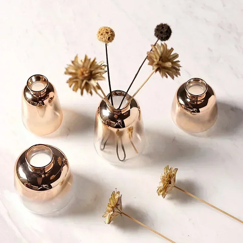 Vase Dégradé en Verre – Élégance Lumineuse pour Sublimer Votre Intérieur