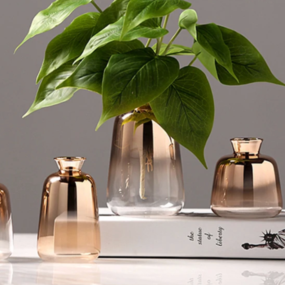 Vase Dégradé en Verre – Élégance Lumineuse pour Sublimer Votre Intérieur