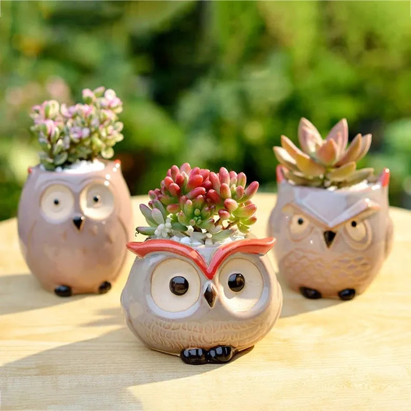 Mini Pot de Fleurs Hibou en Céramique – Jardinière Mignonne pour Plantes Succulentes et Déco de Bureau ou Jardin