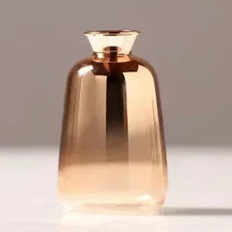 Vase Dégradé en Verre – Élégance Lumineuse pour Sublimer Votre Intérieur