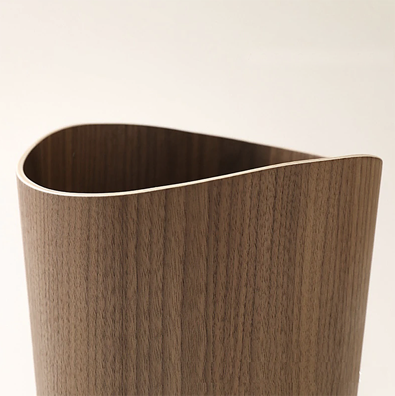 Poubelle Design en Bois Placage 9L Moderne