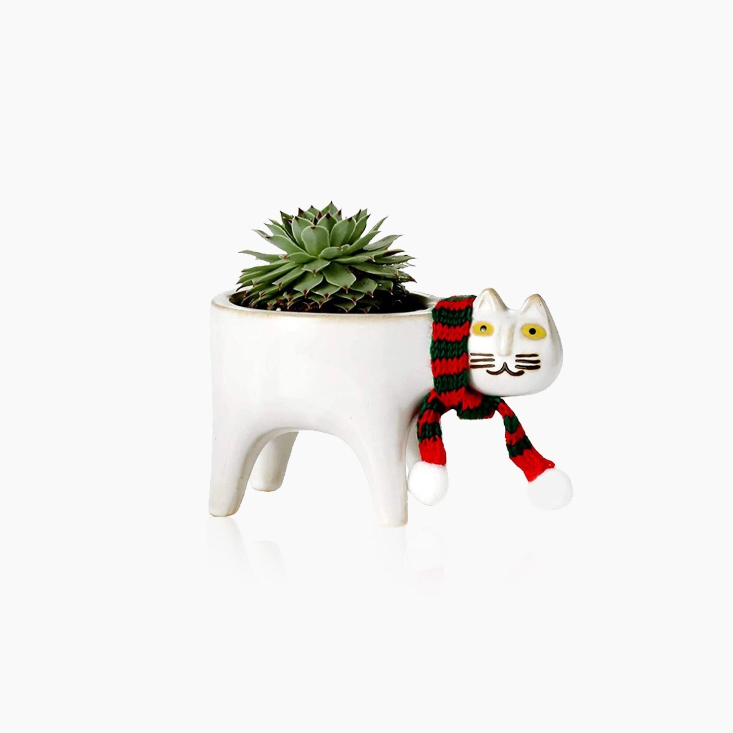 Pot de fleurs en céramique en forme de queue de chat – Une touche ludique et artisanale pour vos plantes
