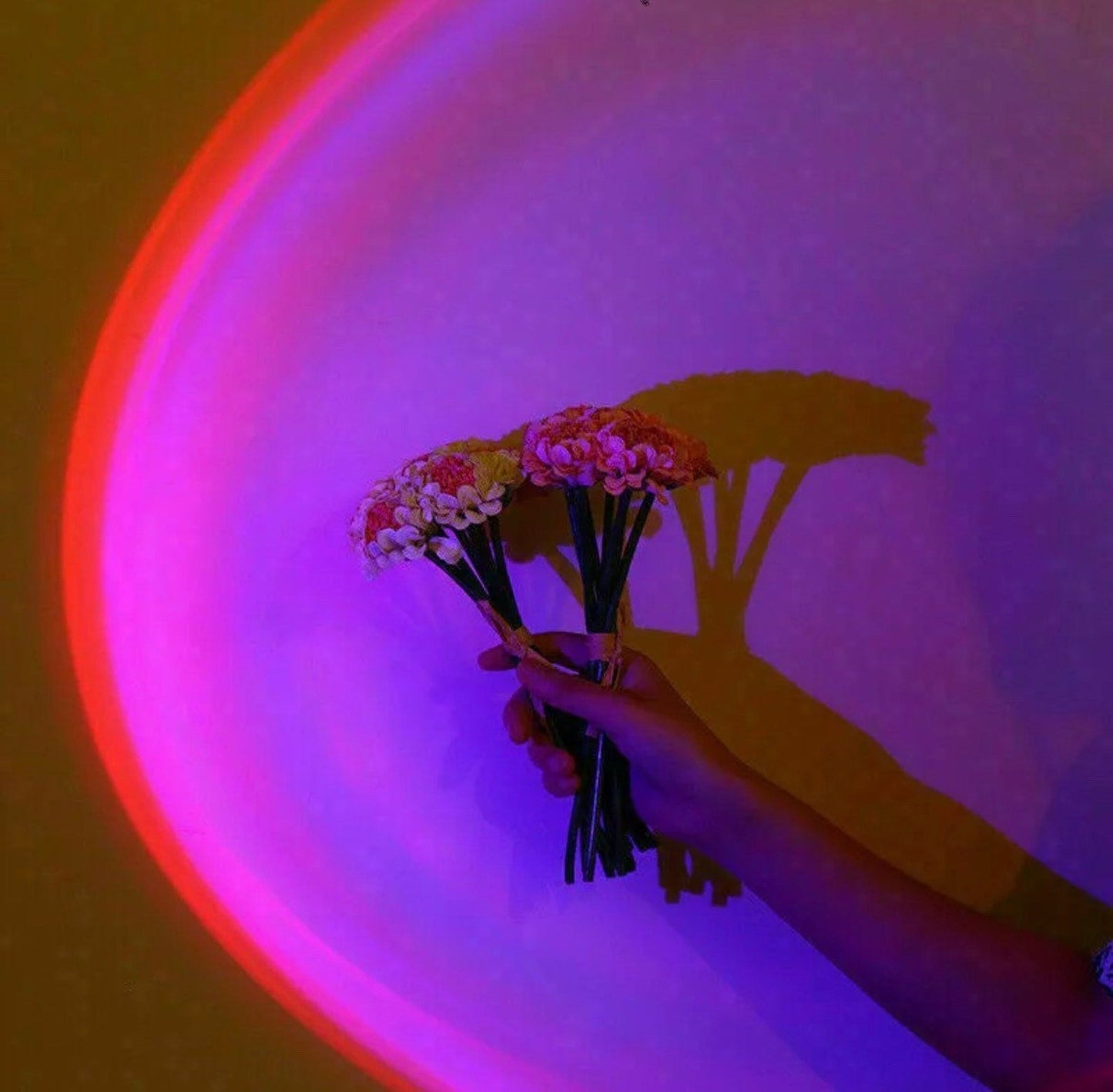 Lampe de Table | Projecteur Coucher de Soleil - 15 Couleurs au Choix