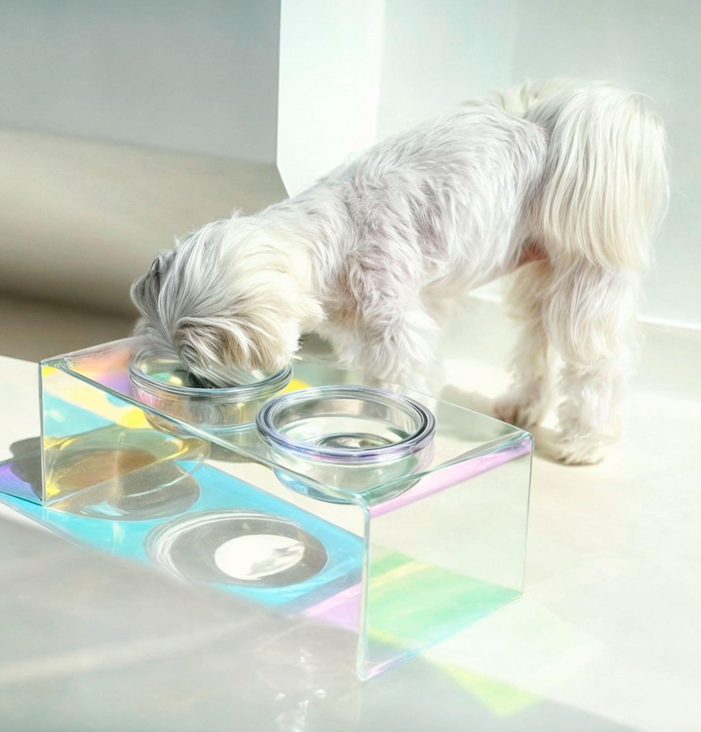 Gamelle Élevée Acrylique Chic pour Chien