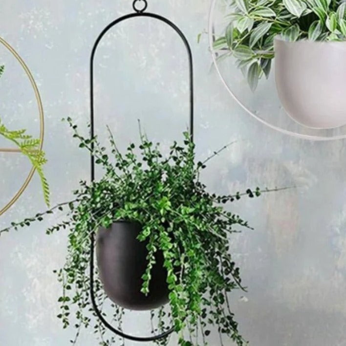 Pot de Plante Suspendu, Design Halo, Métal Antirouille