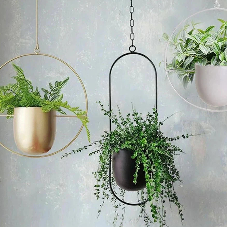 Pot de Plante Suspendu, Design Halo, Métal Antirouille