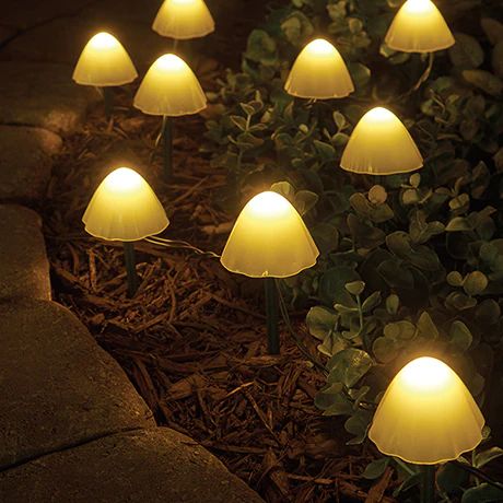 Guirlande solaire champignons lumineux pour jardin – 10 LED