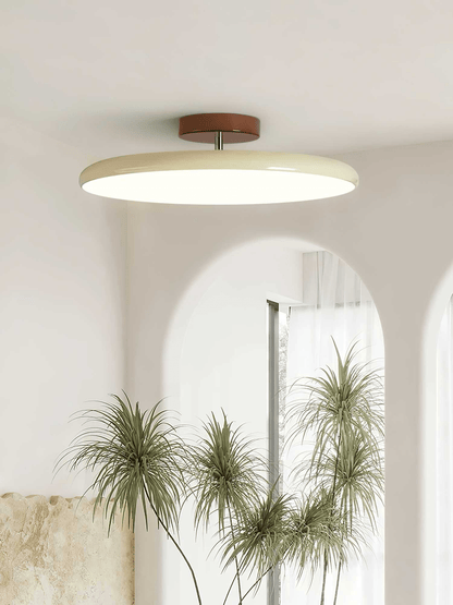 Plafonnier LED Réglable Métal Rond Intérieur