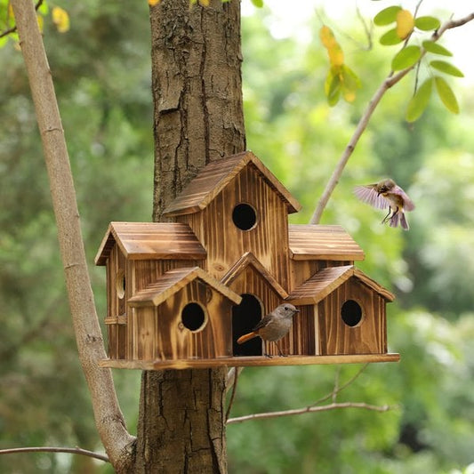 Nichoir SongbirdHaven – Maison pour Oiseaux Conviviale et Élégante