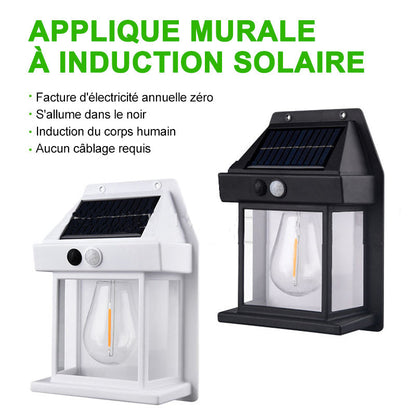 Applique Solaire Extérieure Détecteur Mouvement LED