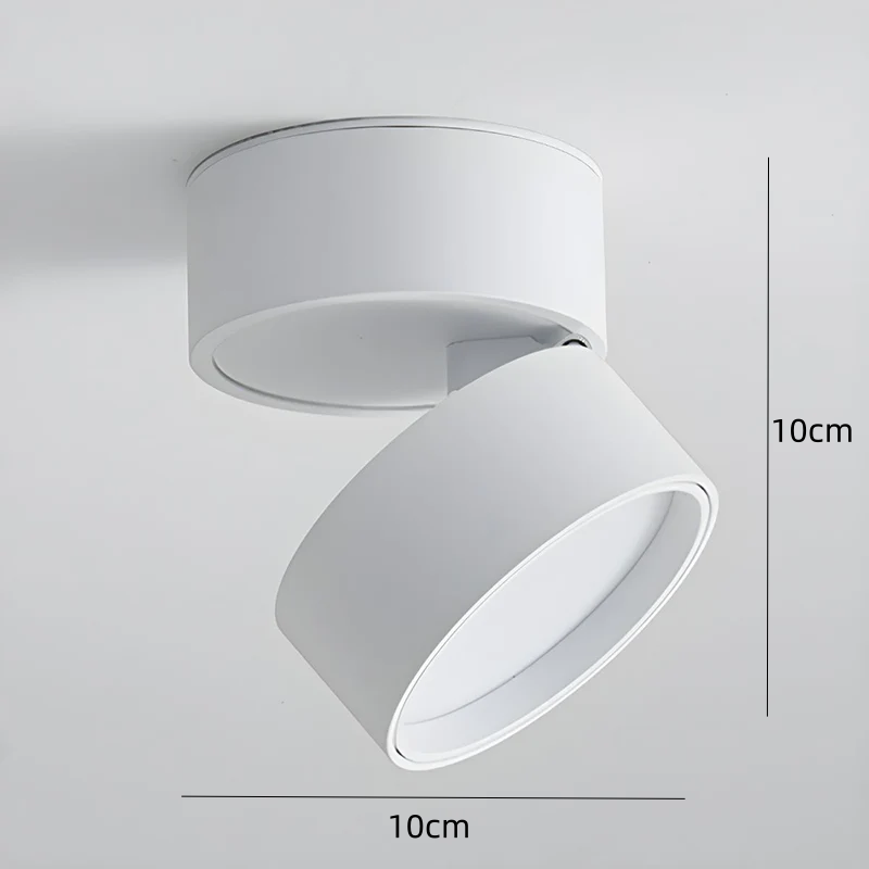 Plafonnier LED Orientable Moderne Mini 10 cm