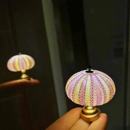 Veilleuse Oursin DIY | Lampe Créative et Apaisante