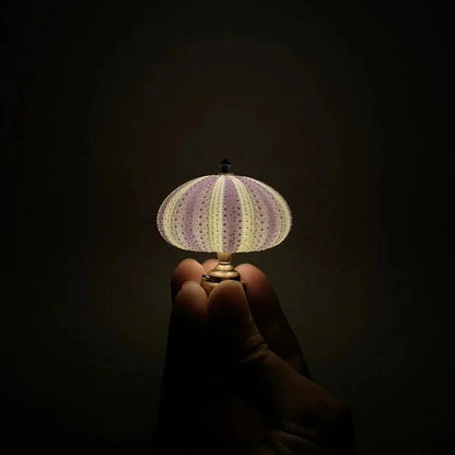 Veilleuse Oursin DIY | Lampe Créative et Apaisante