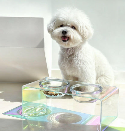Gamelle Élevée Acrylique Chic pour Chien