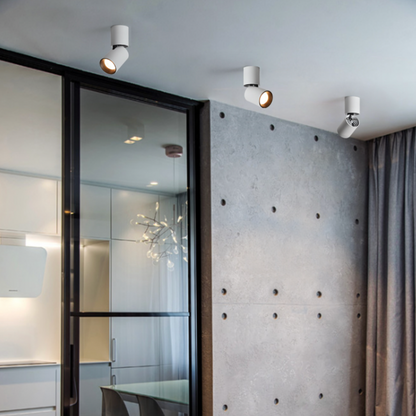 Spot LED Cylindrique Orientable – Éclairage Moderne et Directionnel pour Intérieur