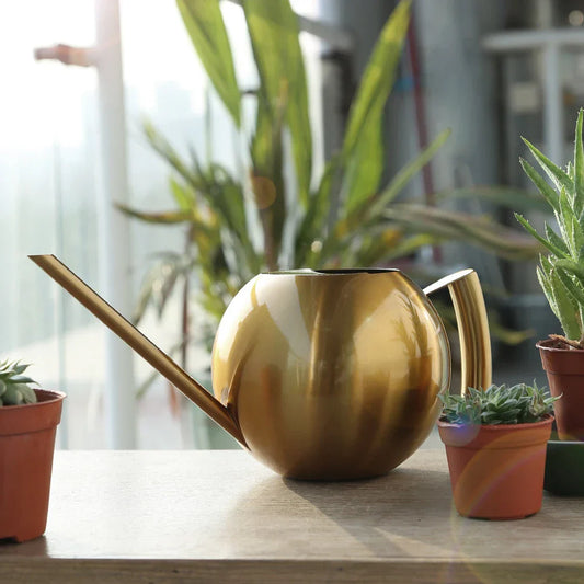 PlantFlow | Arrosoir Minimaliste Moderne pour Plantes d'Intérieur