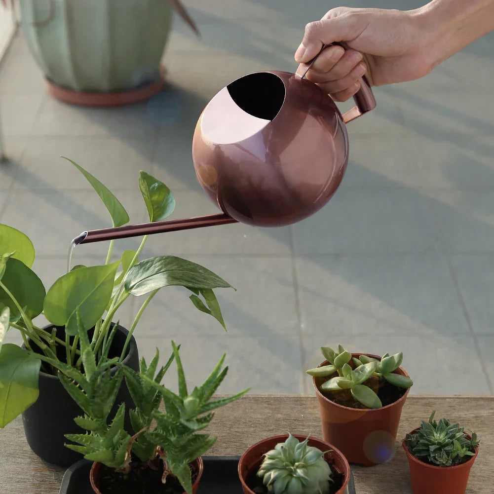 PlantFlow | Arrosoir Minimaliste Moderne pour Plantes d'Intérieur