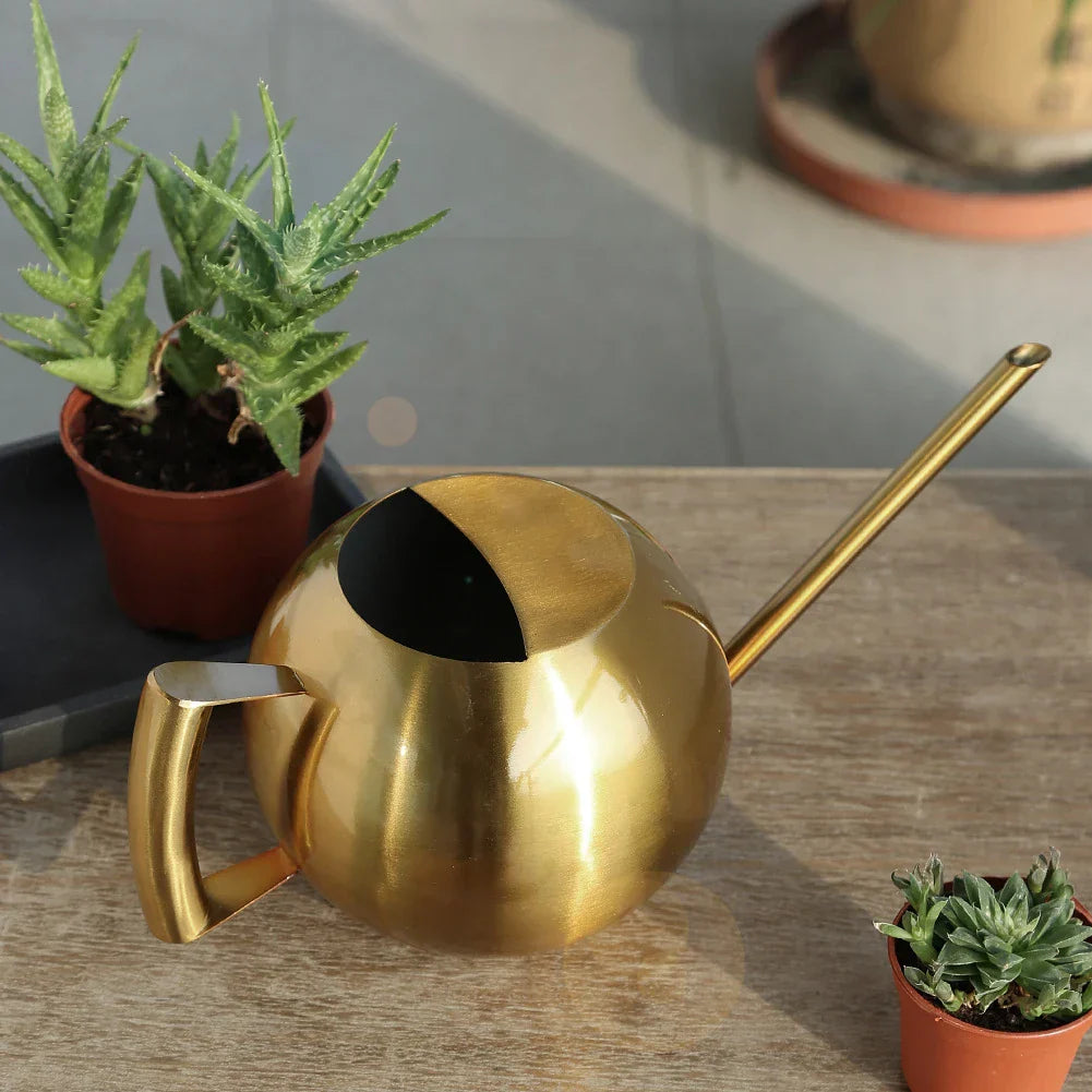 PlantFlow | Arrosoir Minimaliste Moderne pour Plantes d'Intérieur
