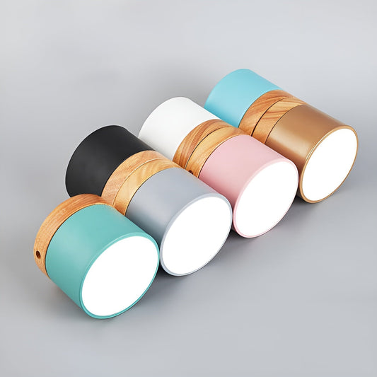 Lampe Plafonnier Vintage PastelGlow - Applique Plafond Rétro Élégante