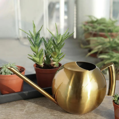 PlantFlow | Arrosoir Minimaliste Moderne pour Plantes d'Intérieur
