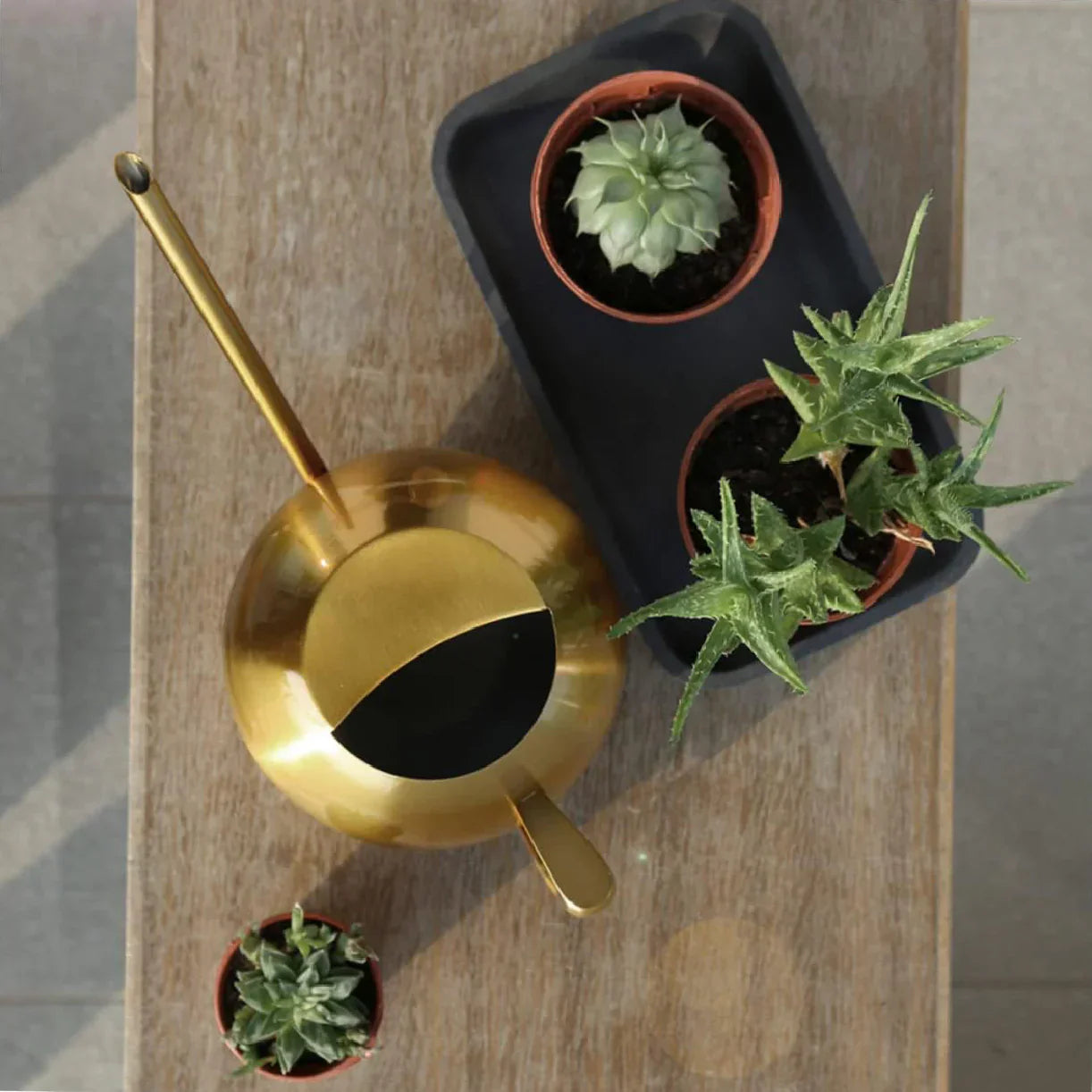 PlantFlow | Arrosoir Minimaliste Moderne pour Plantes d'Intérieur