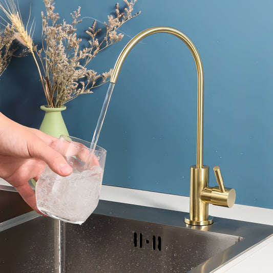 Hank Robinet de Boisson en Acier Inoxydable à Eau Froide Directe