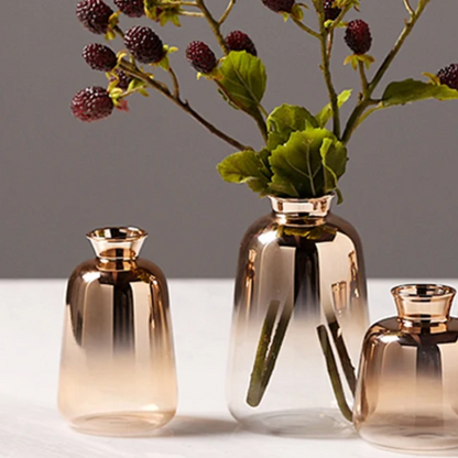 Vase Dégradé en Verre – Élégance Lumineuse pour Sublimer Votre Intérieur