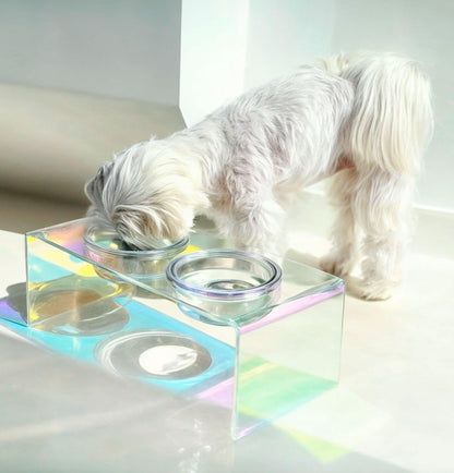 Gamelle Élevée Acrylique Chic pour Chien