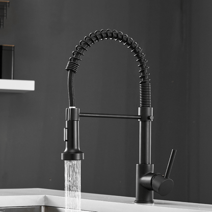 Mitigeur de Cuisine Monotrou avec Bec à Ressort Rétractable